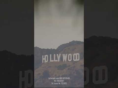 Day 8 of Dana White's 12 Days of Giveaways is Here to Impress❗️