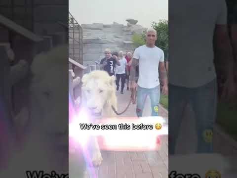 They are walking a what?! #shorts