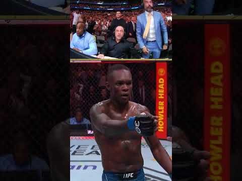 Adesanya's latest knockout left everyone SPEECHLESS!