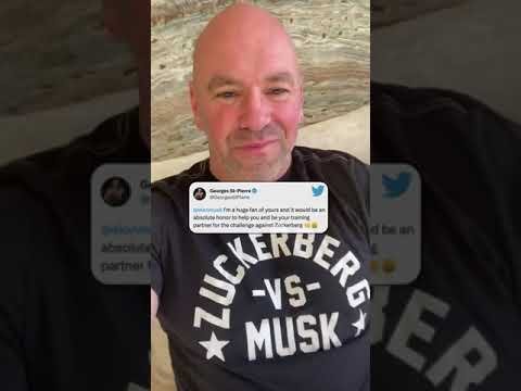 Next season of TUF please 😂 #shorts