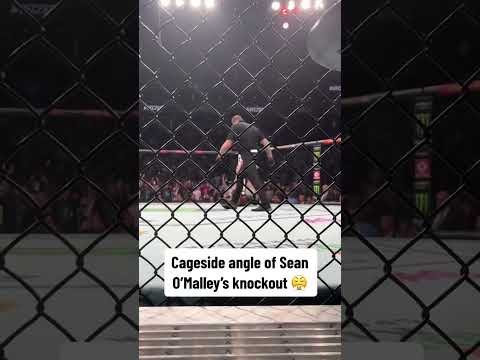Cageside view of O’Malley’s KO 😤 #UFC292