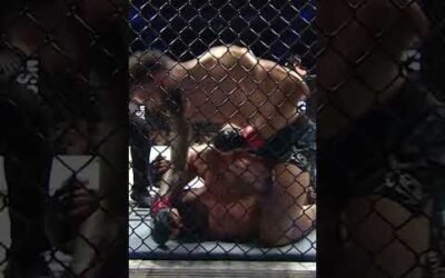 Will the "BearJew" add another finish to his record Saturday? 🧐 #ufc301