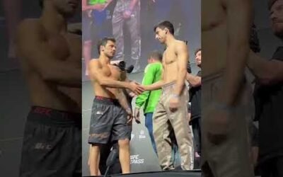 Who will leave Rio as the flyweight champ? 🔥 #UFC301 (via CCLegaspi/X)