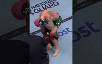 UFC NO COMMENTARY 2 🔥 OUT NOW!! #nocommentary