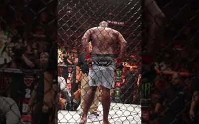 He put the LEWIS in ST. LOUIS!! 🚨 #ufcstlouis