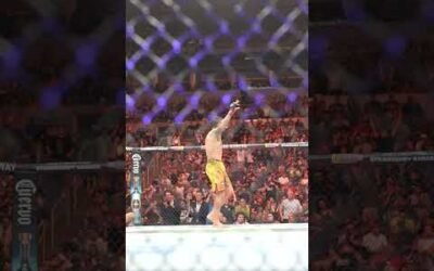 Ferreira gets the finish right before the bell! 🔔 #ufcstlouis