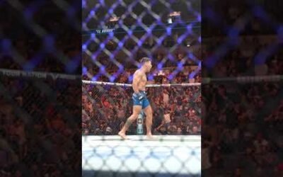 OMGGGGGGG, insane head kick from Ribovics!! 😳 #ufcstlouis