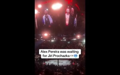 Pereira didn’t move 😳 #UFC303 (via redcornermma/TT)